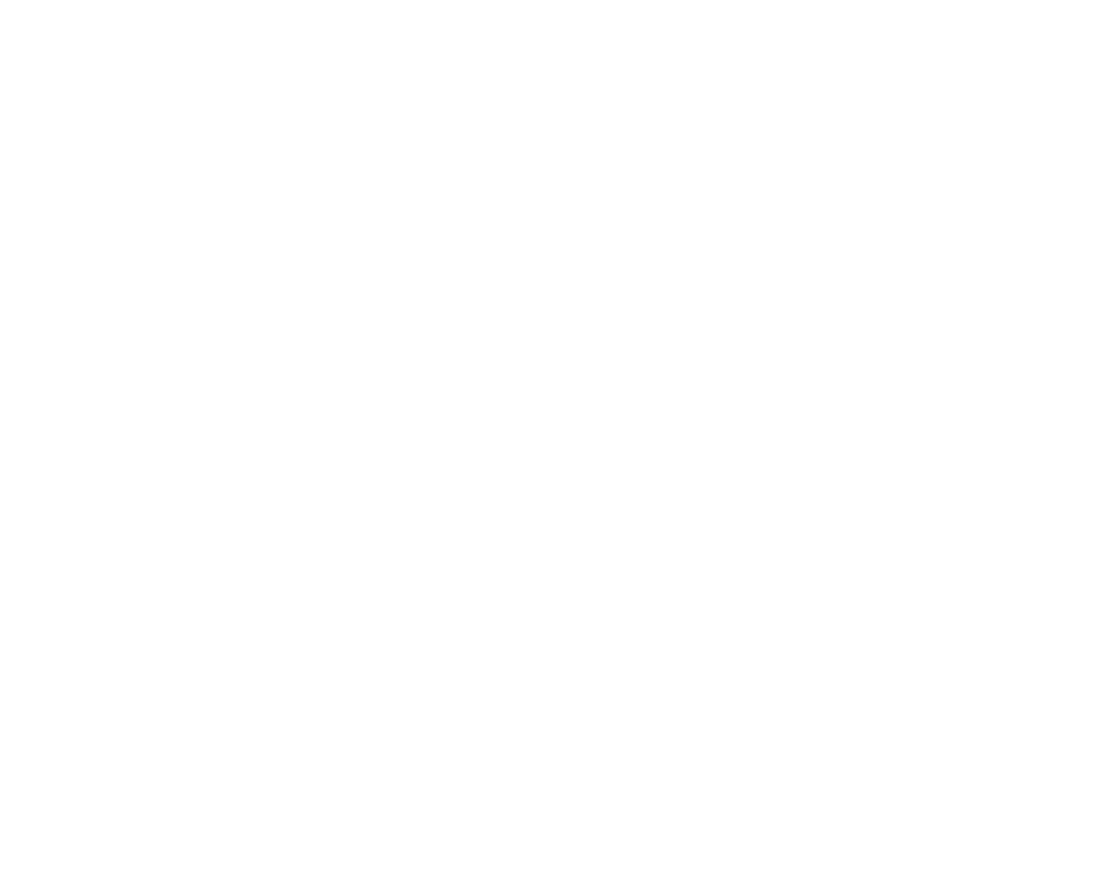BRAINS Logo